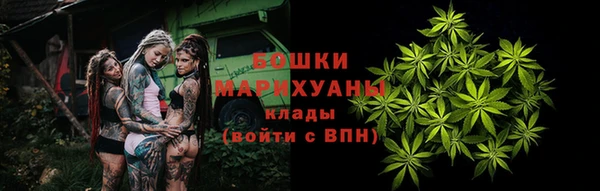 стаф Заводоуковск