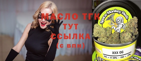стаф Заводоуковск