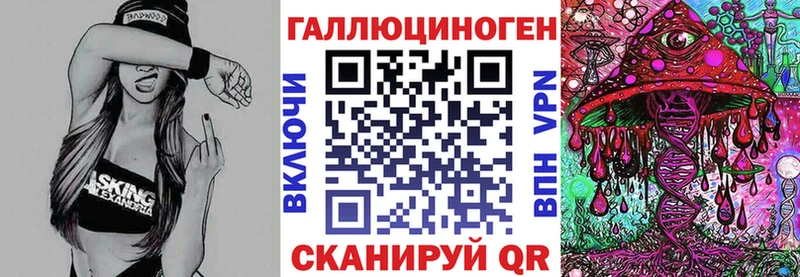 Псилоцибиновые грибы Psilocybe  Купить  Хилок 